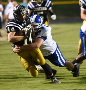 Spiders down Bulldogs